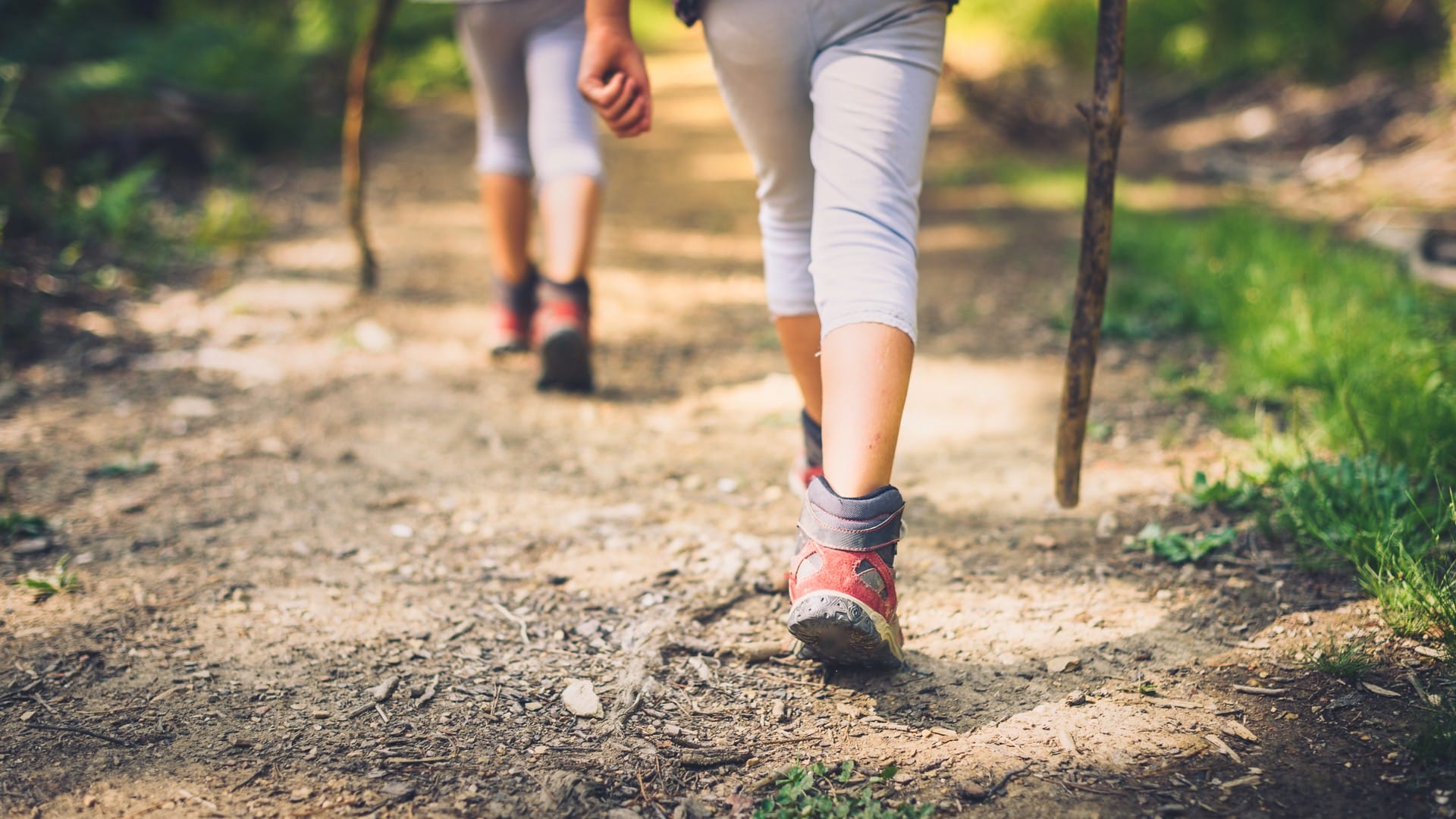 shutterstock_717940207