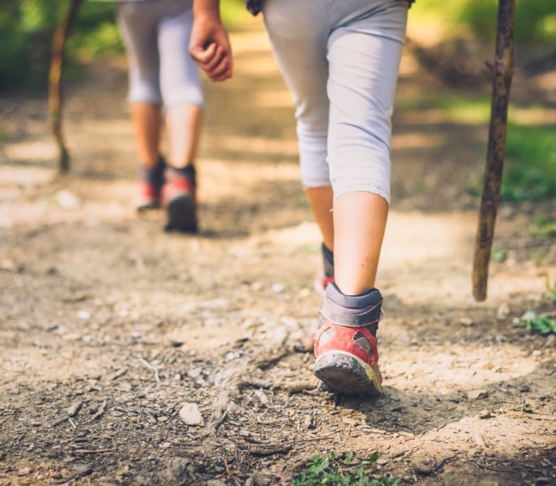 shutterstock_717940207