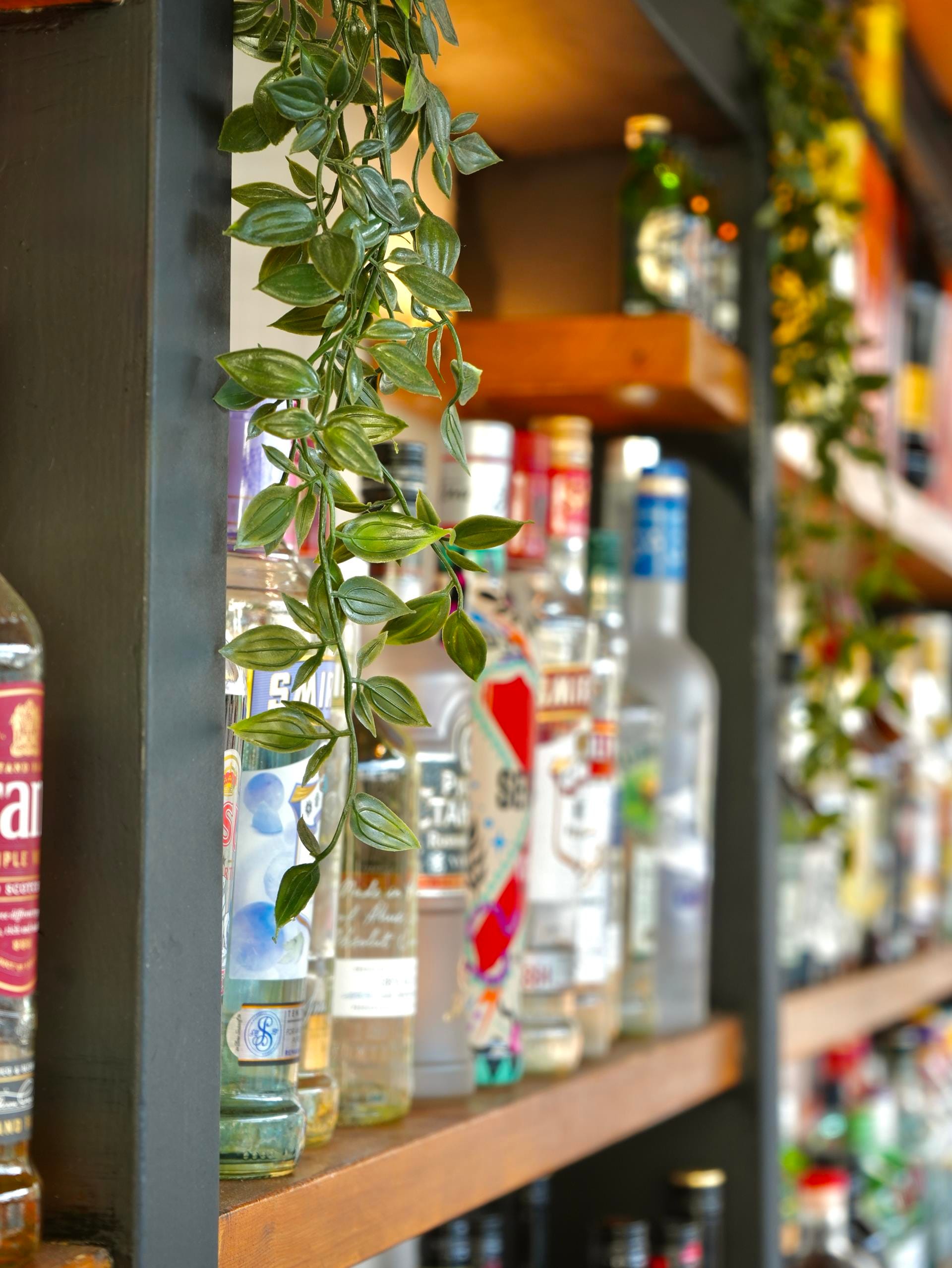 a plant in a glass case