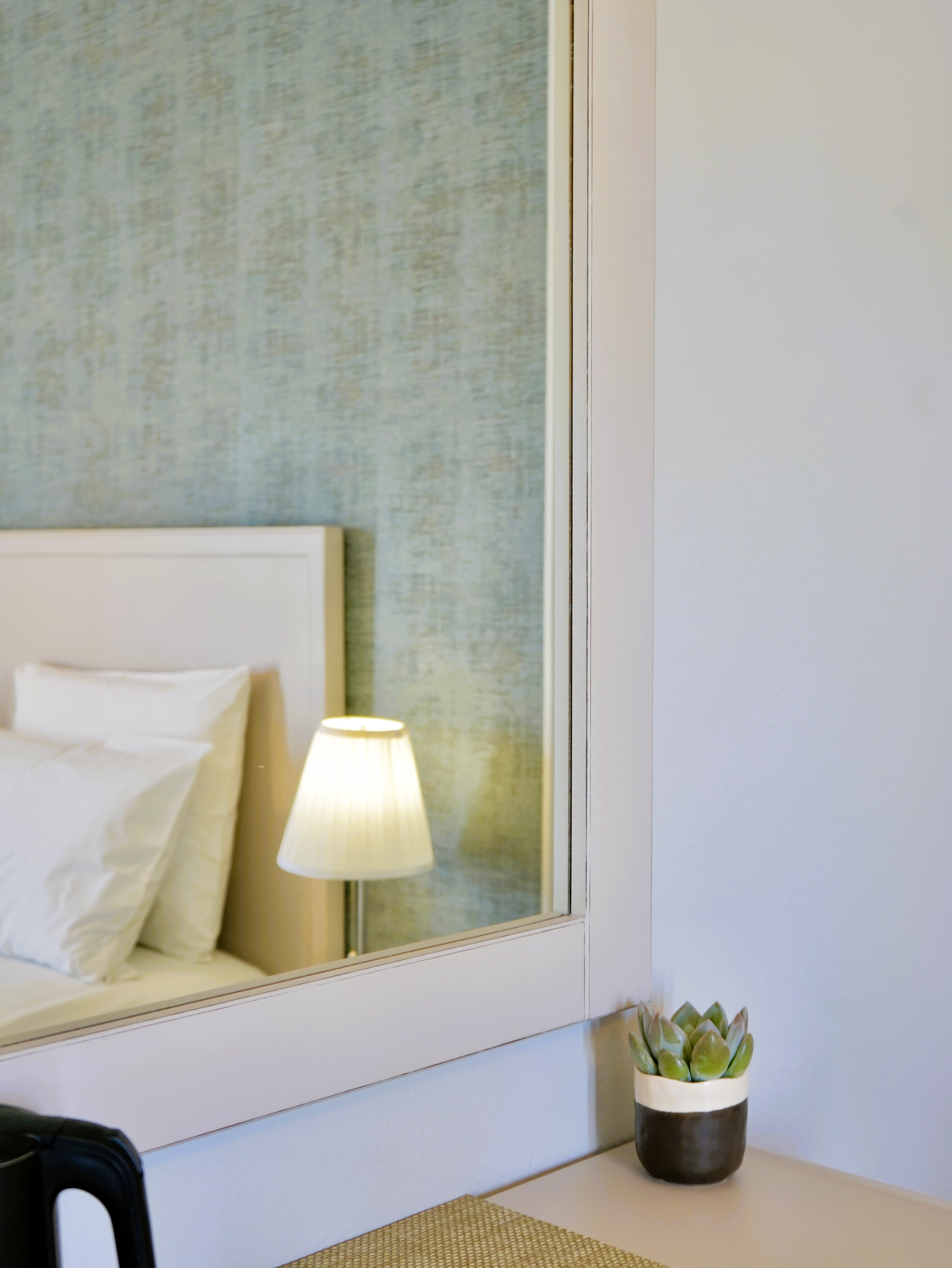 a window with a plant in it