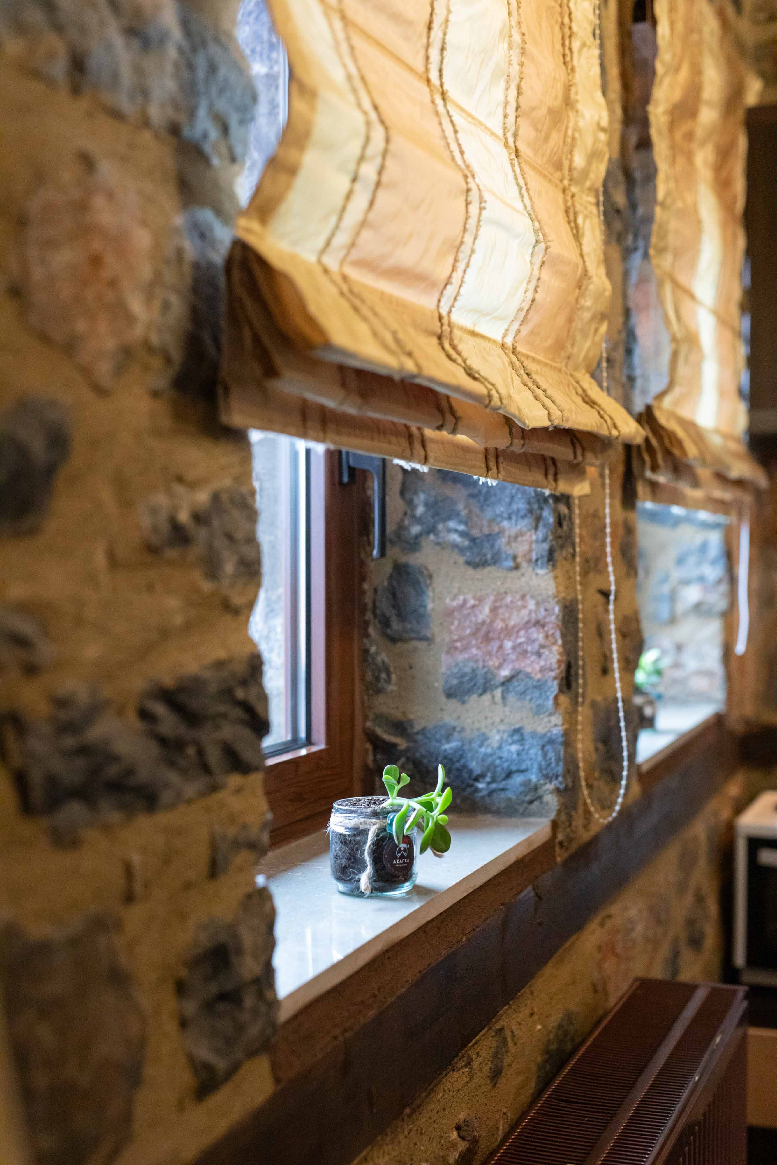 a window with a plant in it