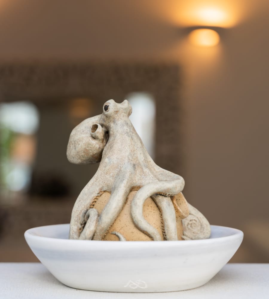 Traditional Mykonian hospitality