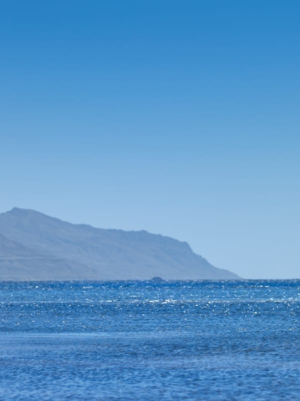 wingsencoracoralseahotelsresorts
