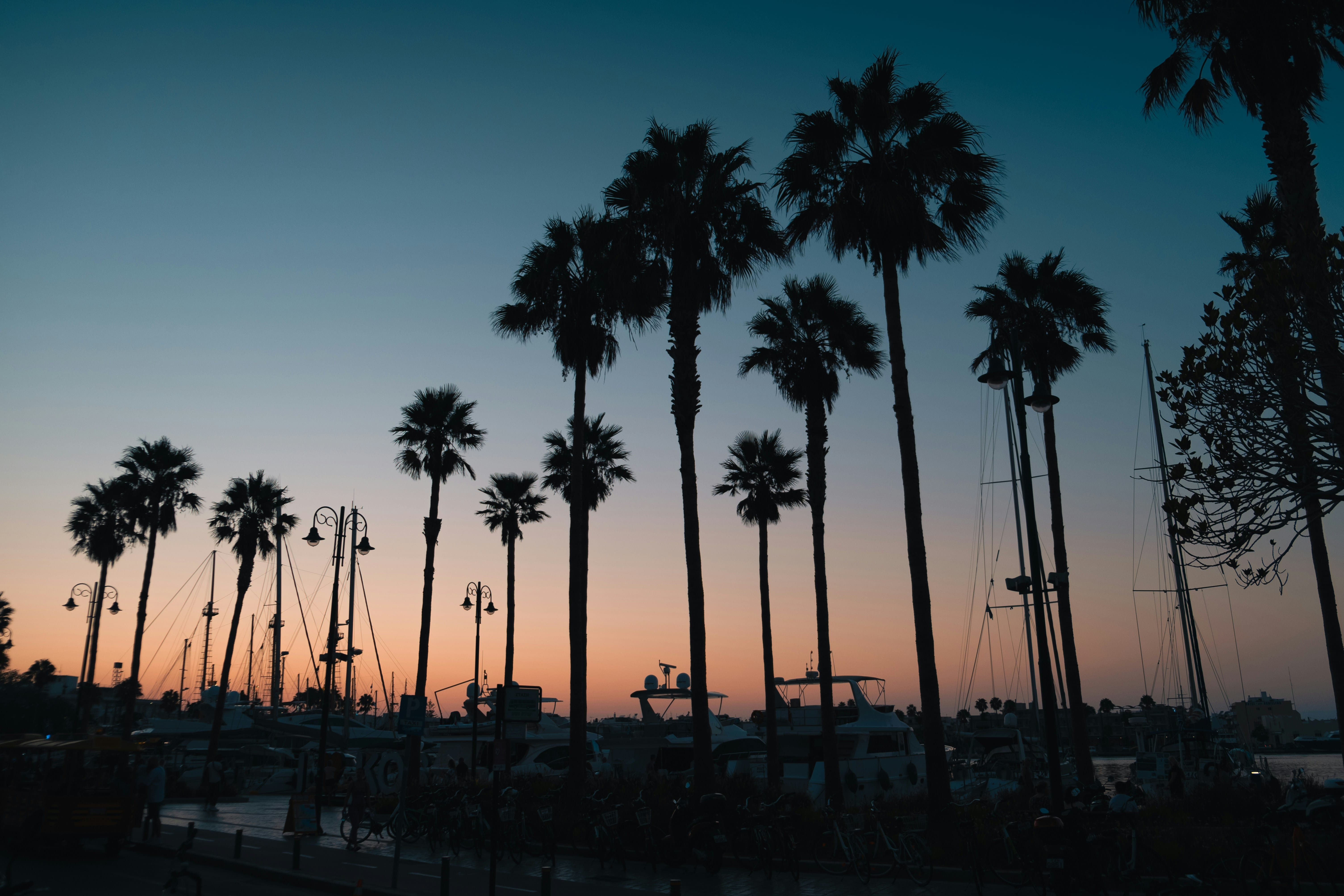 marcreation-mmvma91bk3e-unsplash