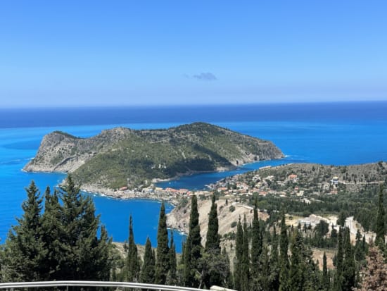 a landscape with trees and a body of water in the background