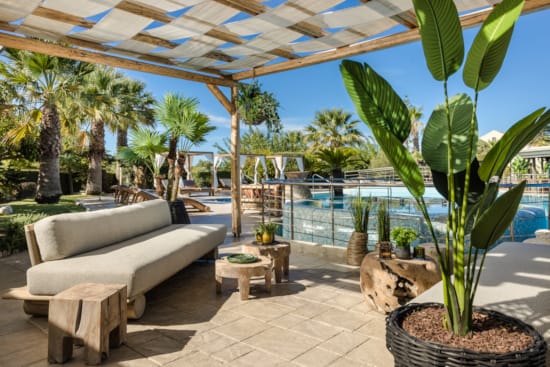 a patio with a covered area and palm trees