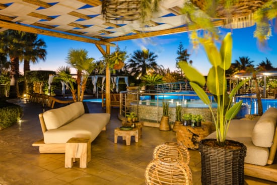 a lounge area with palm trees and a body of water in the background