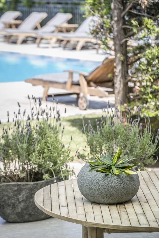 a table with a wheelbarrow and plants by a pool