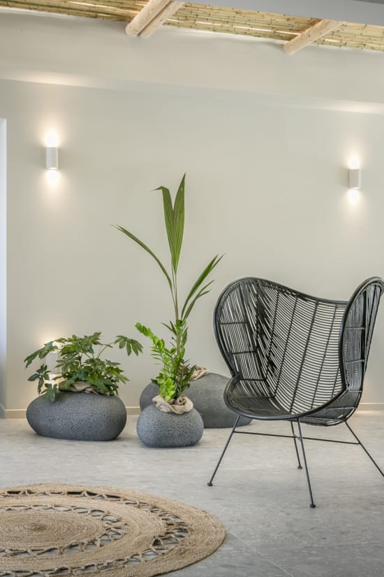 a chair and a plant in a room with a wall with lights