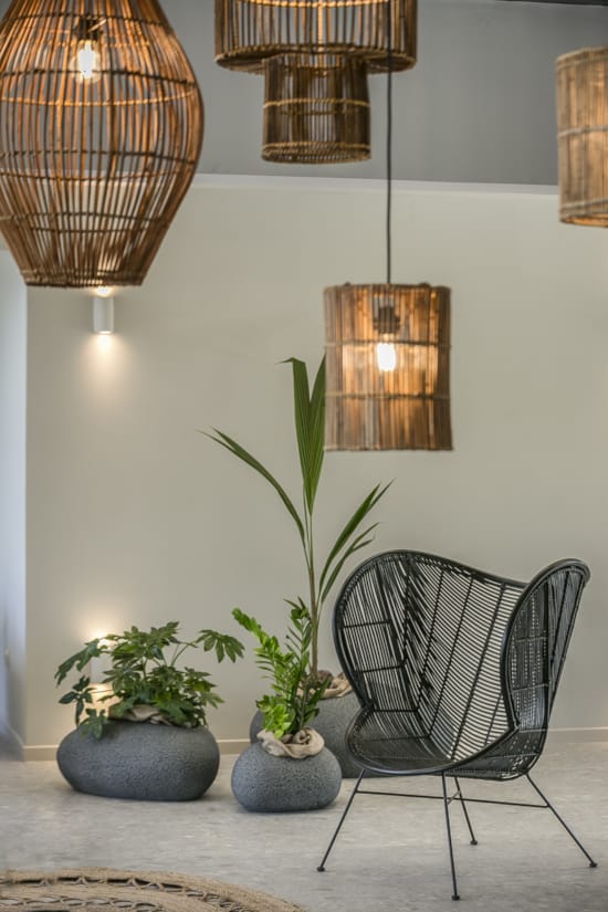 a chair and a plant in a room with lights