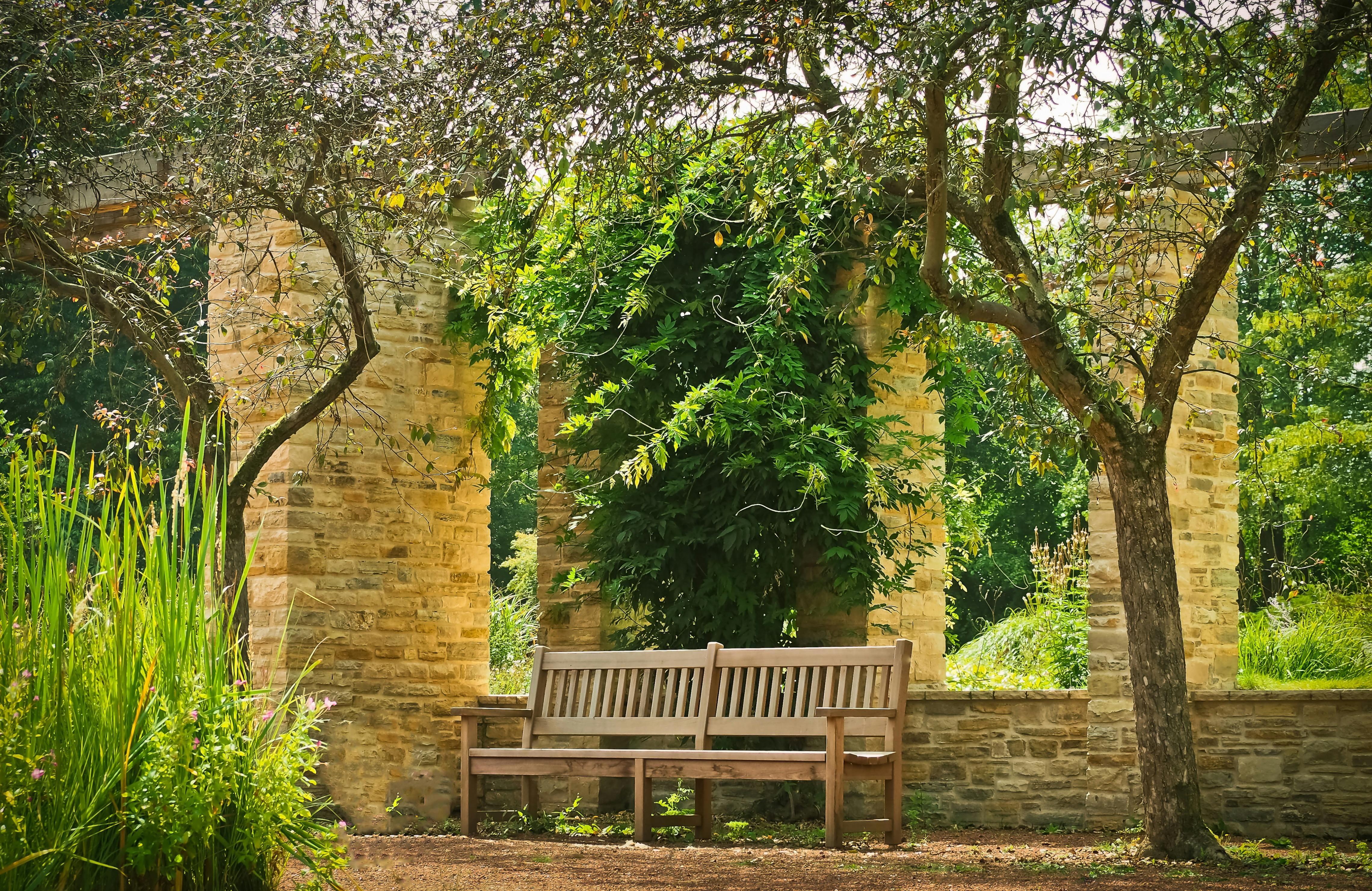 a bench in a park