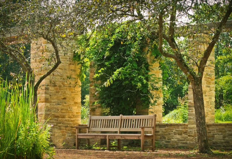 a bench in a park