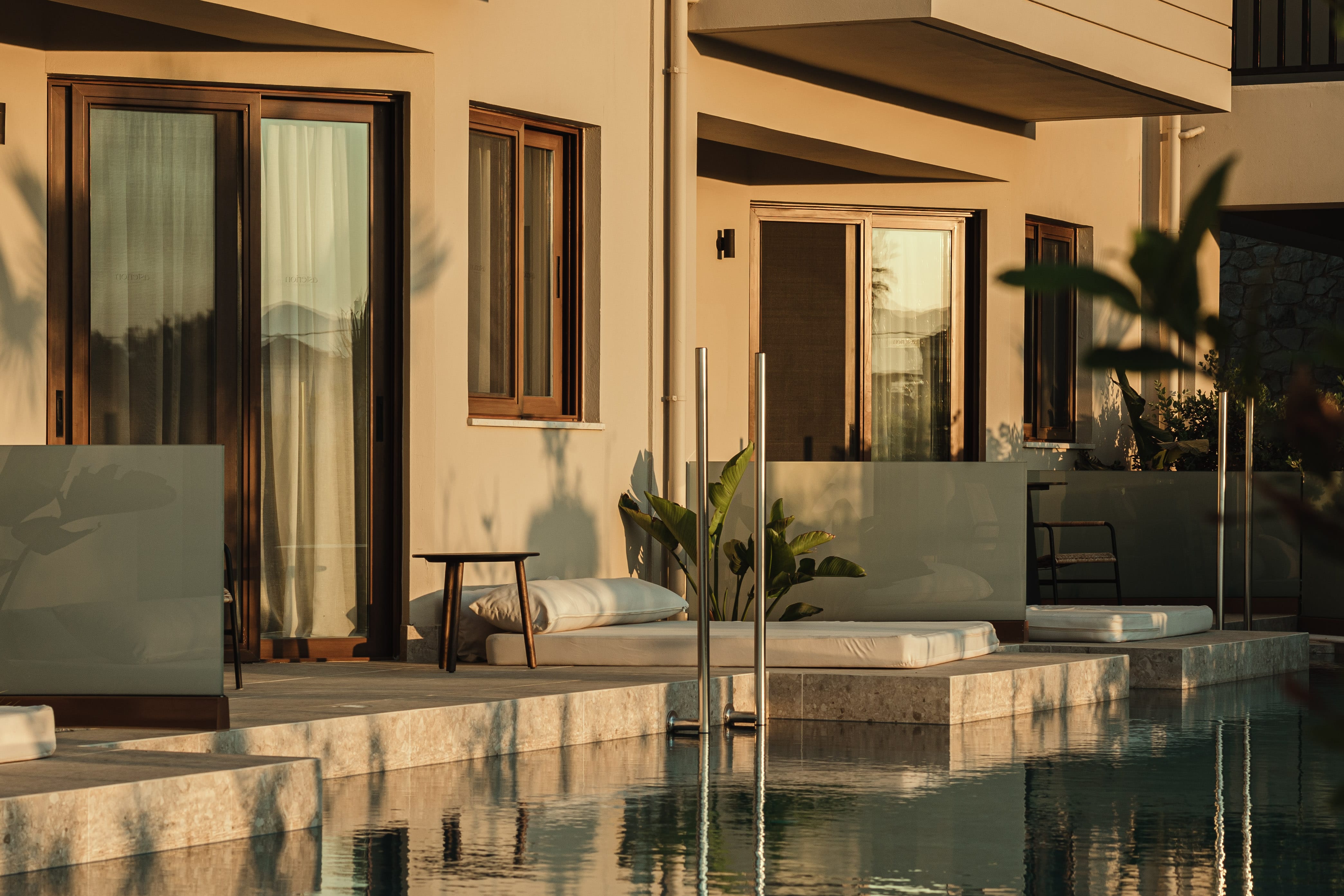 a pool with a plant in it