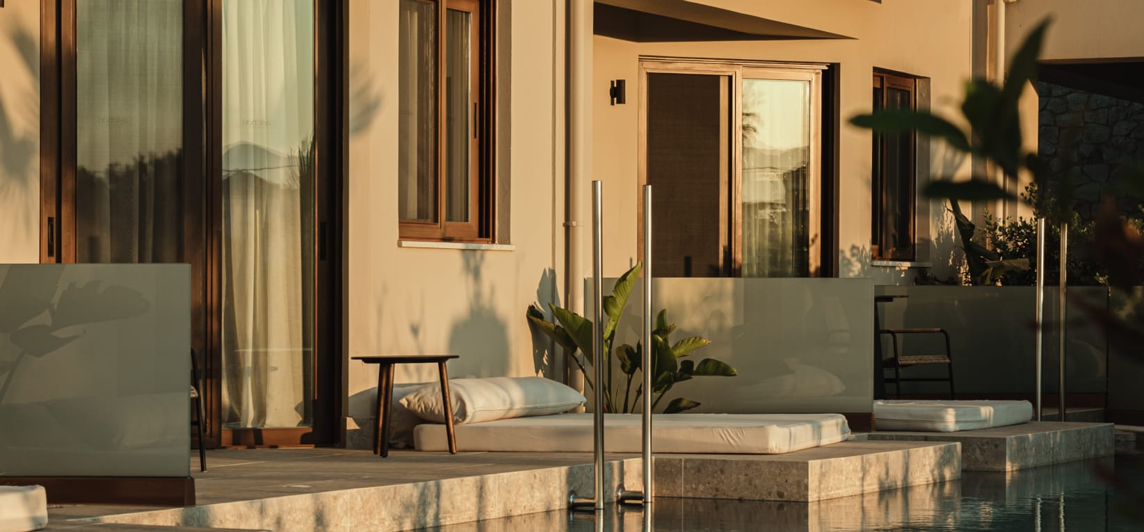 a pool with a plant in it