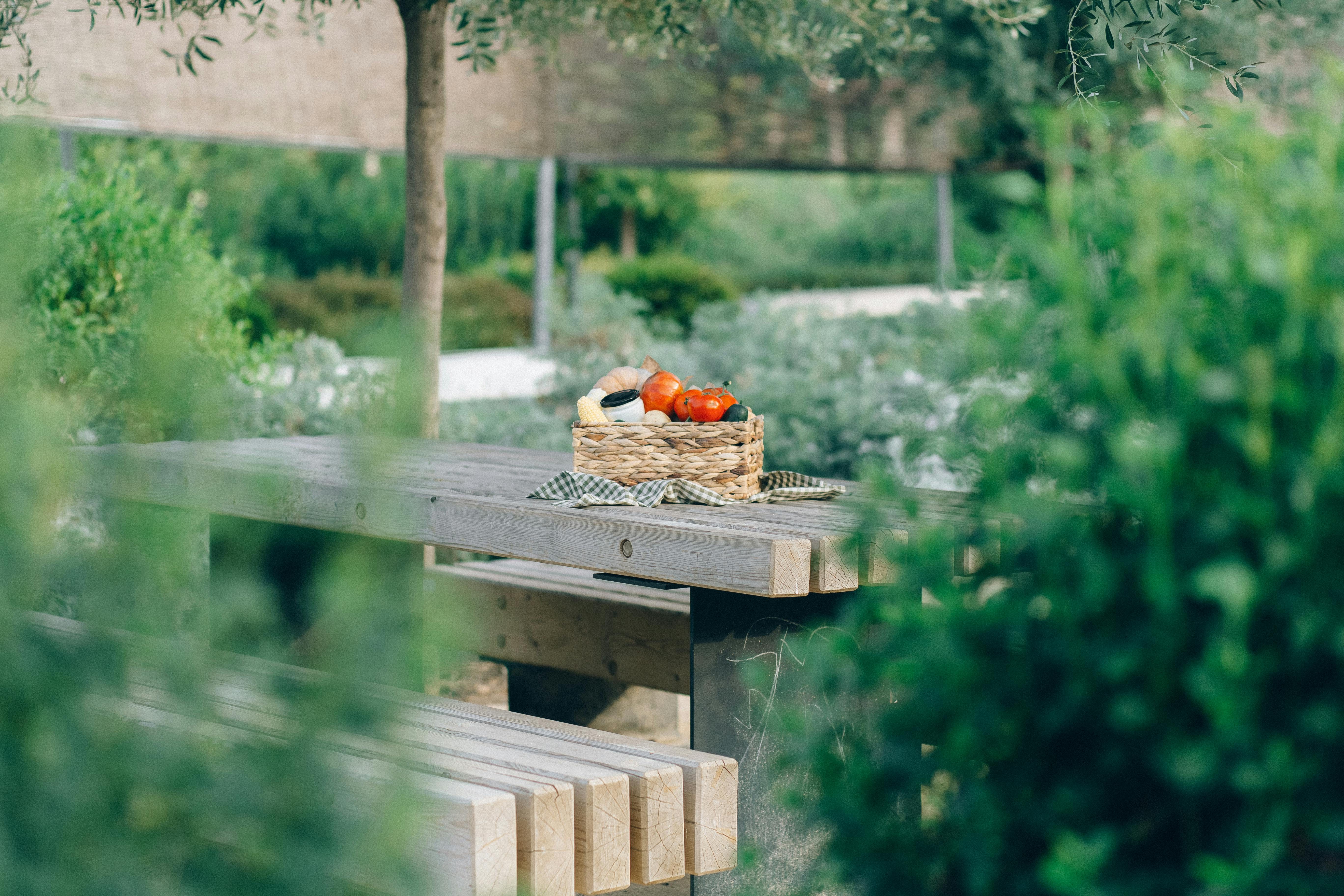 a bird sitting on a bird feeder