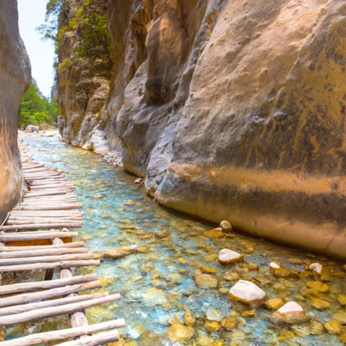 a wooden bridge over a river