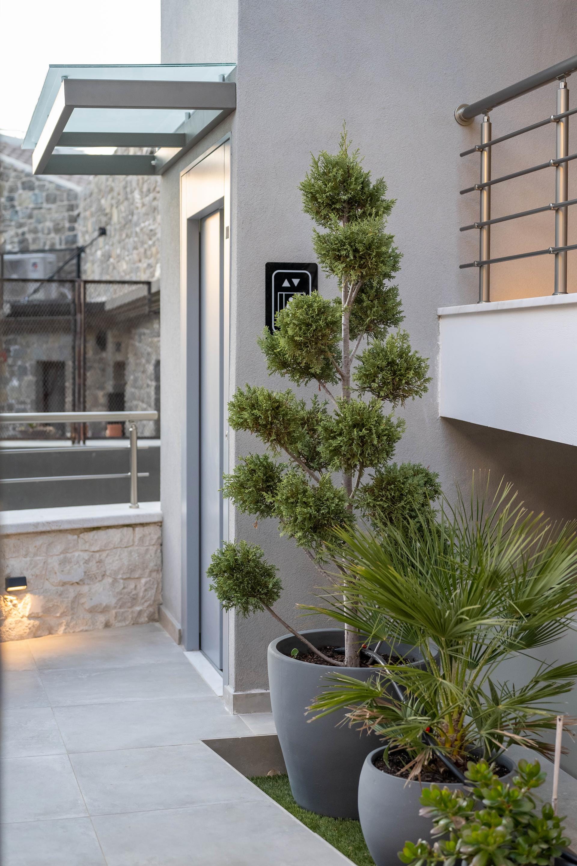 a group of potted plants outside a building