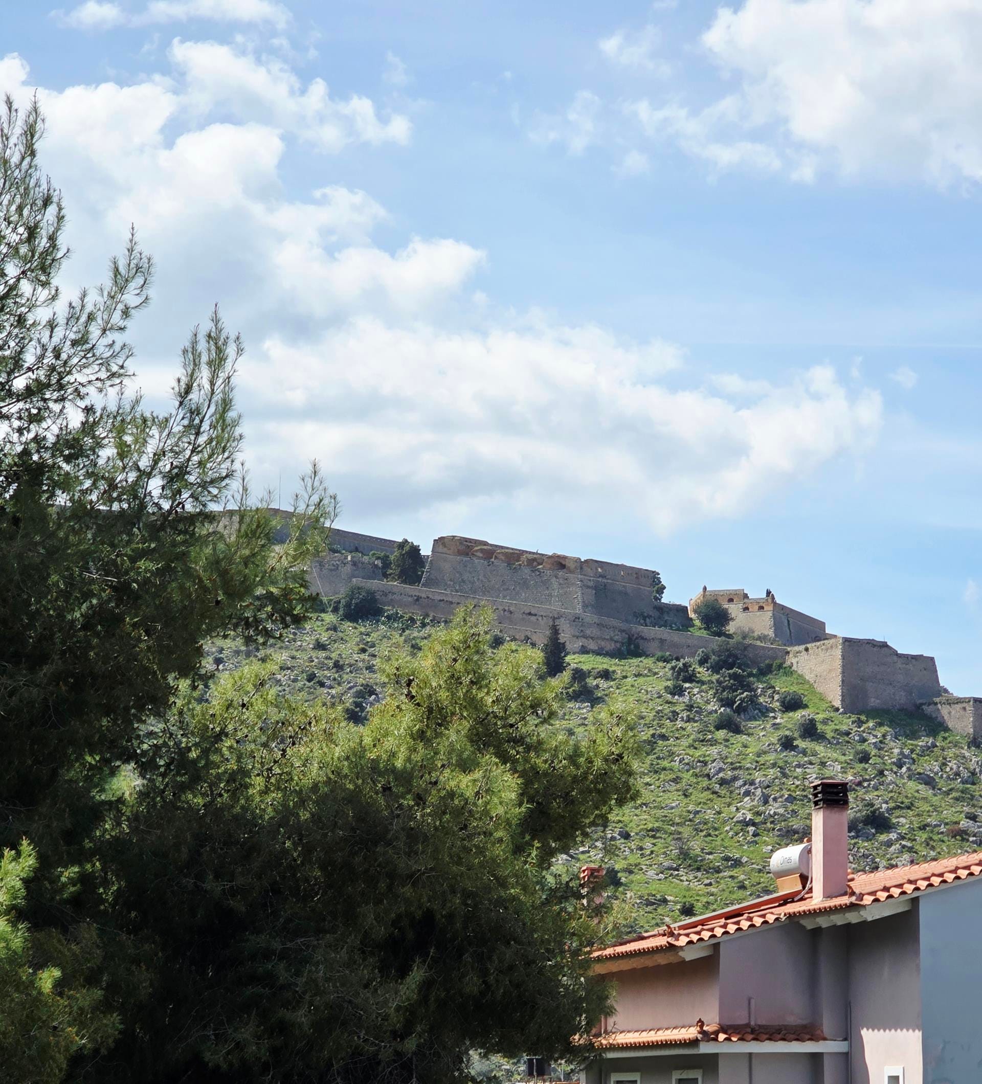 a hill with trees and buildings on it