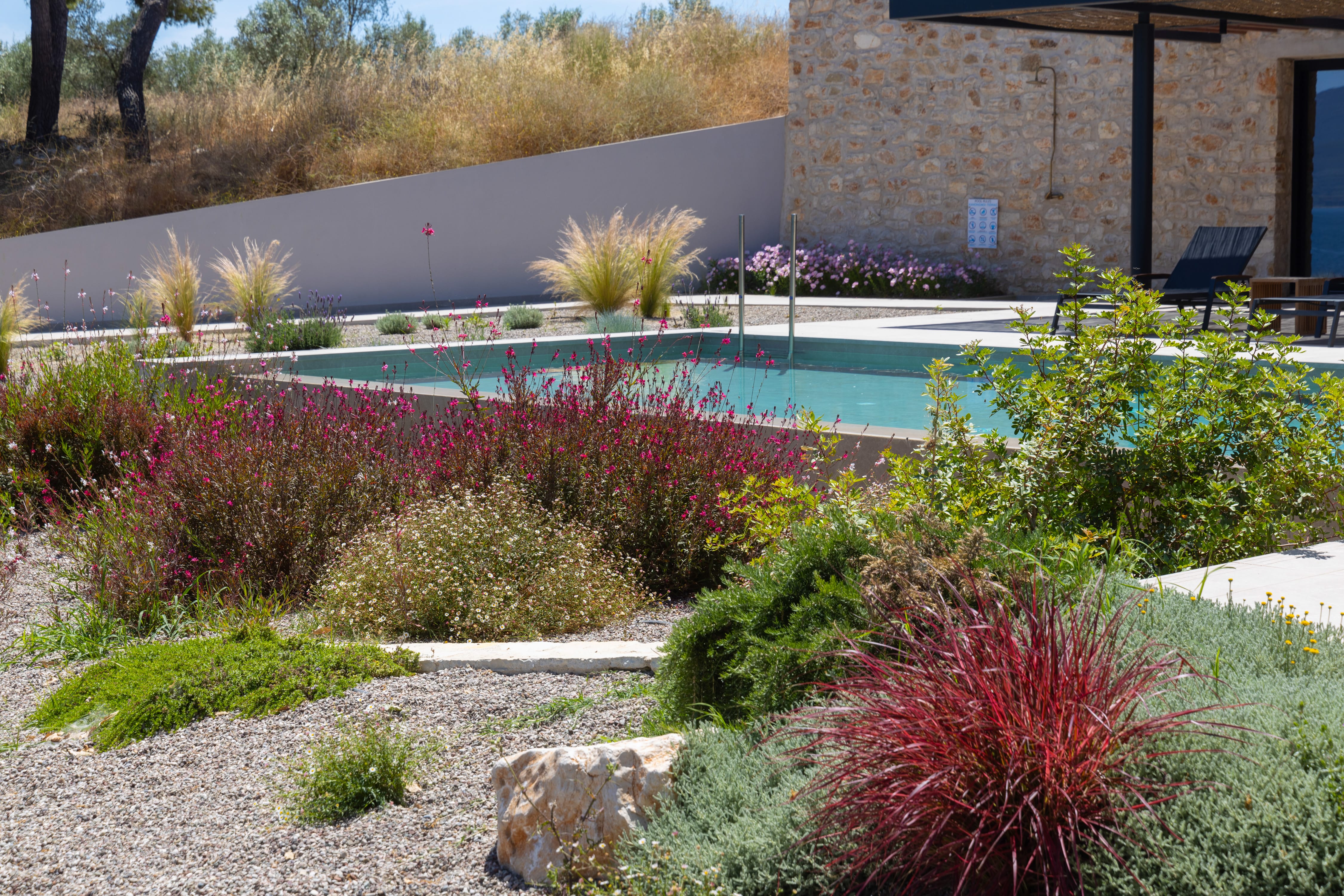 a pool with plants and a building