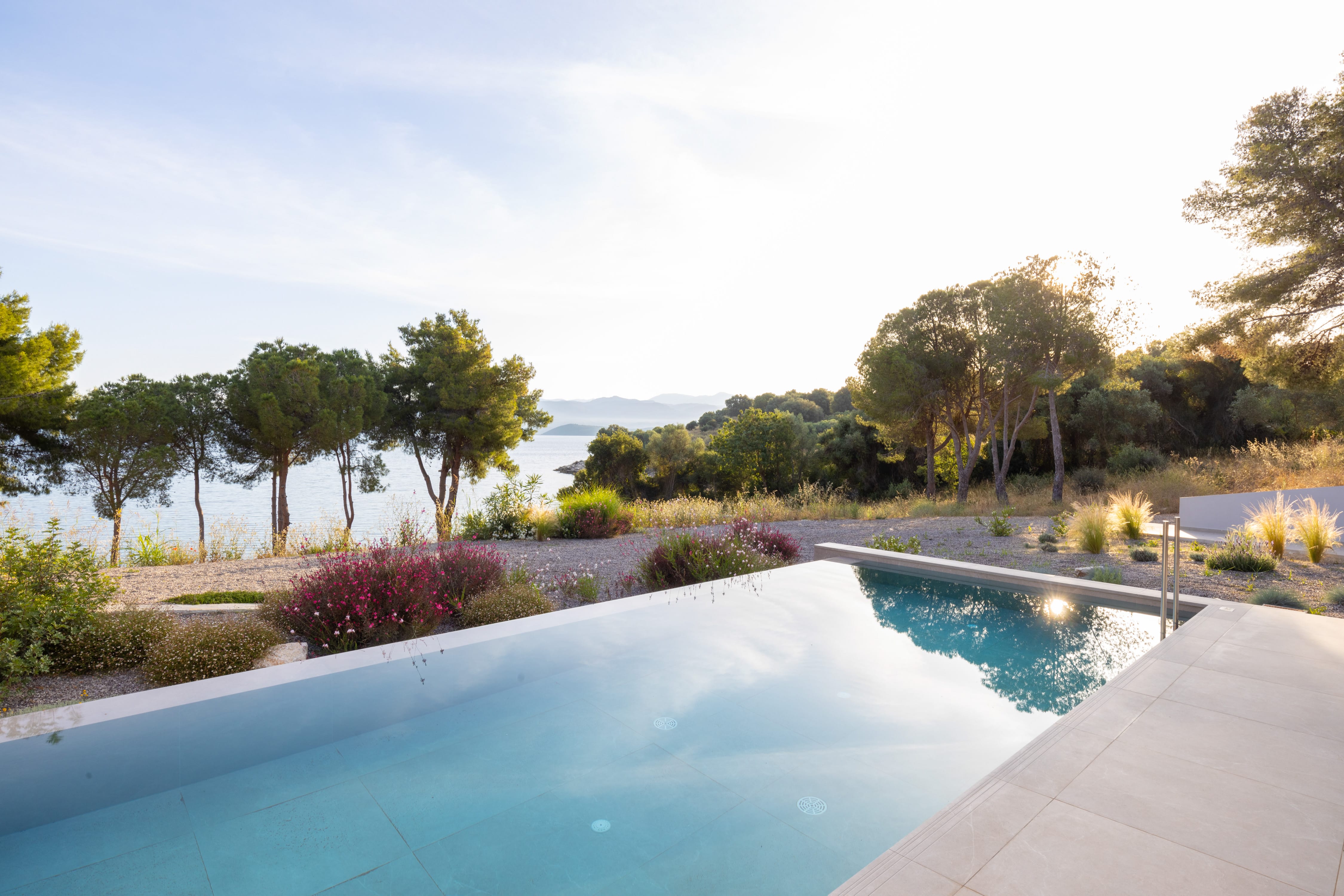 a pool with trees around it