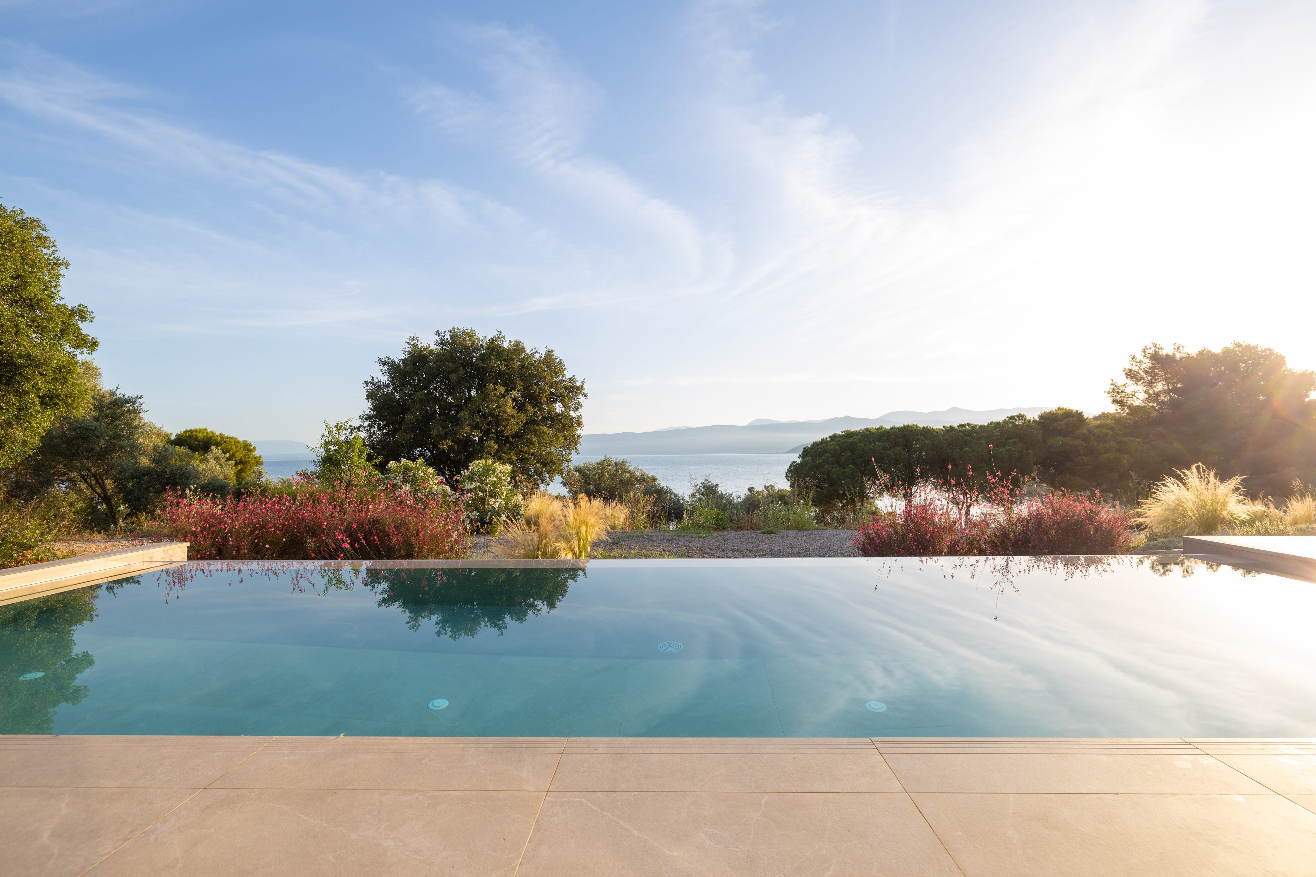 a pool with trees around it