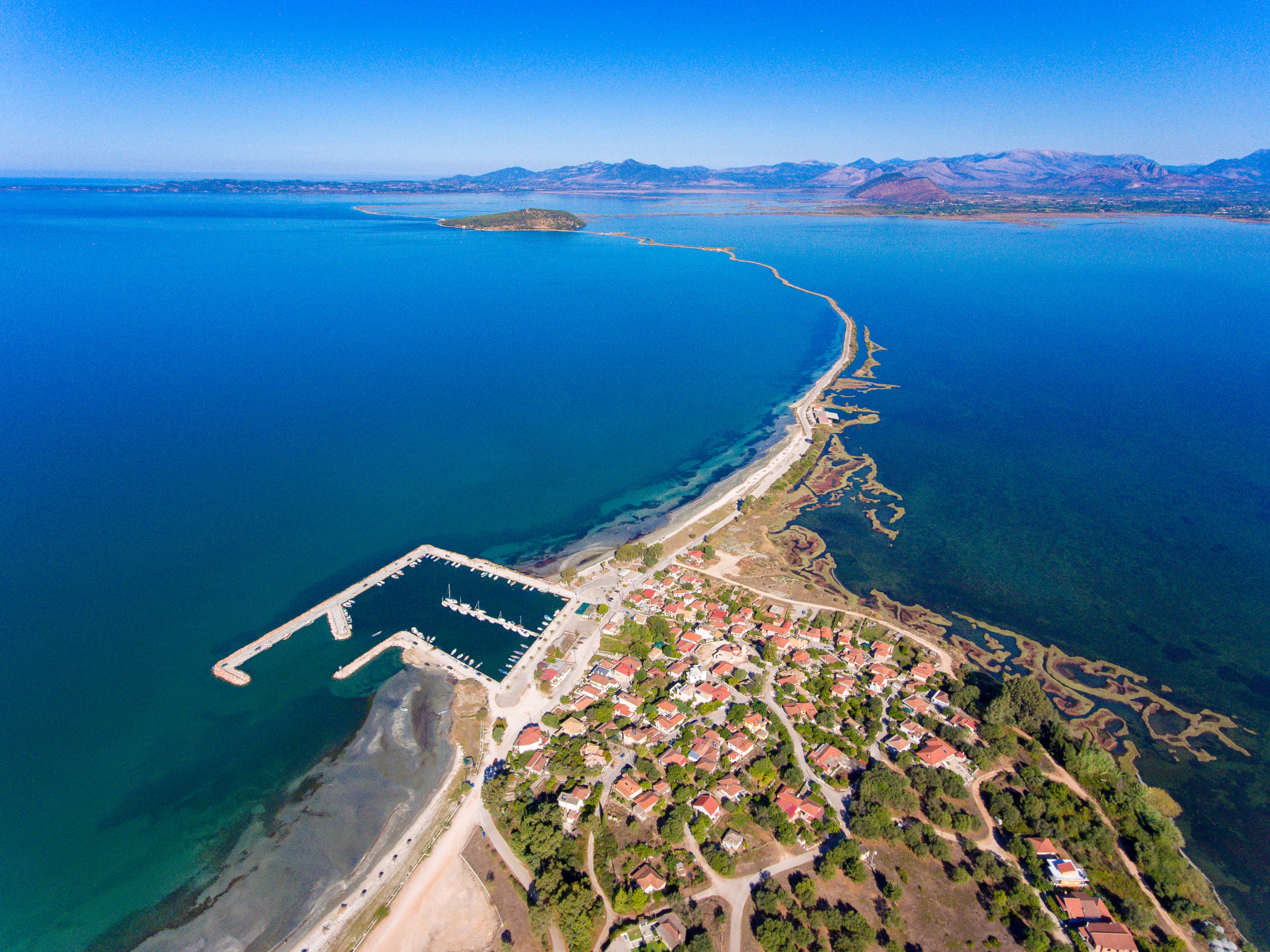a beach with many people on it