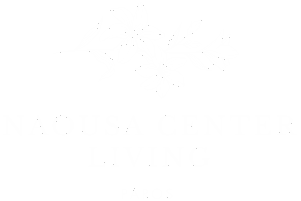 Naousa Center Living