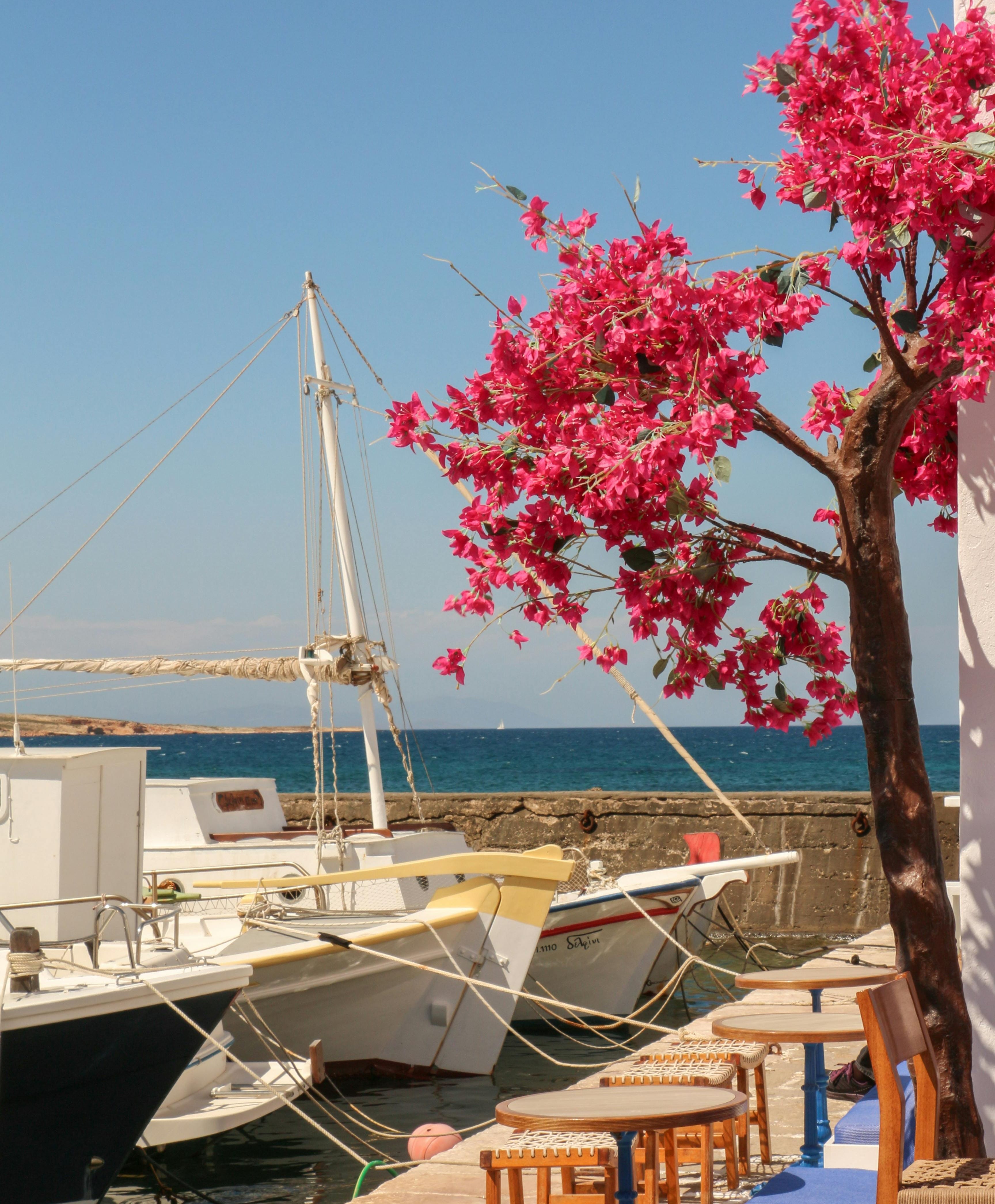 a boat docked at a pier