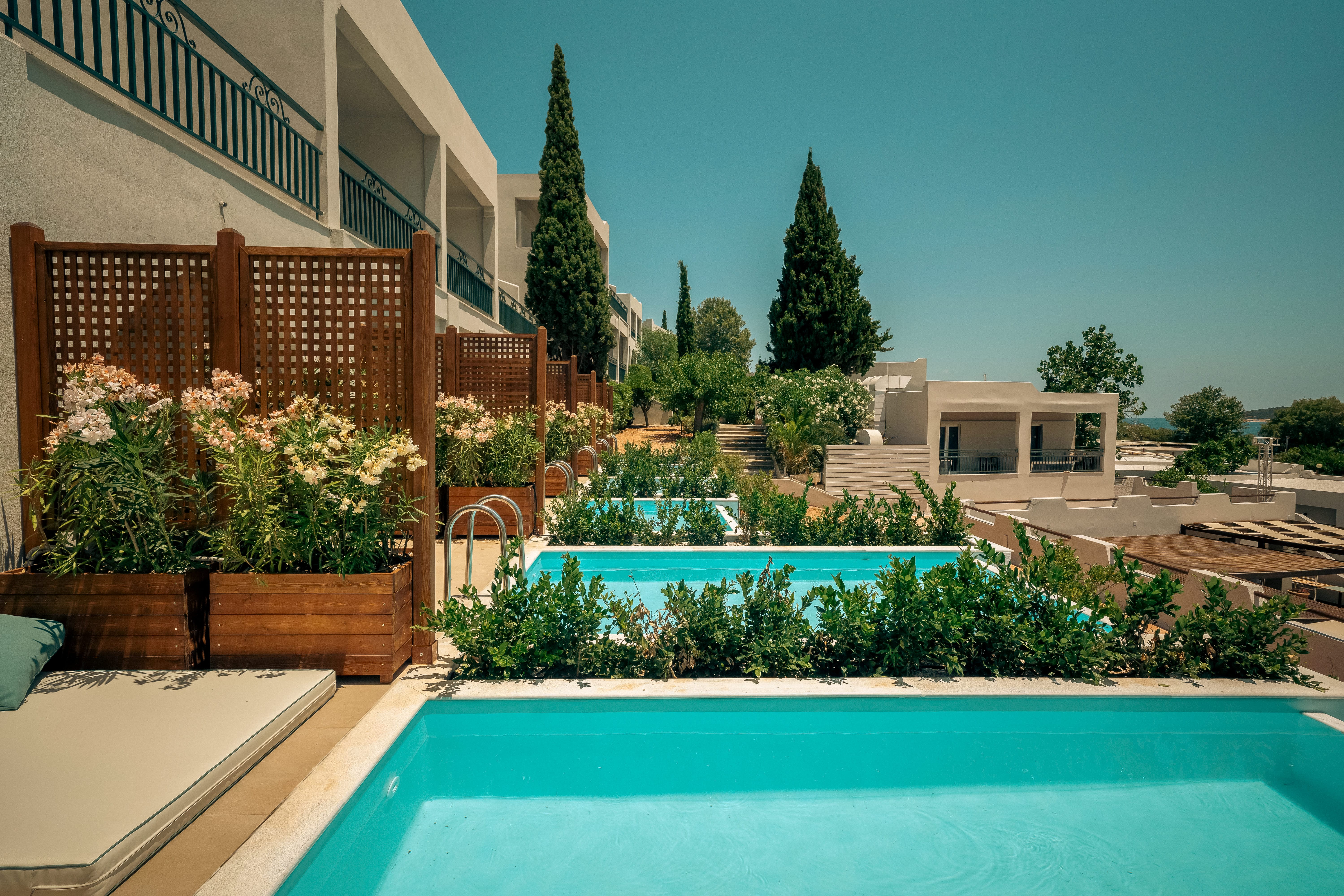a pool with plants around it