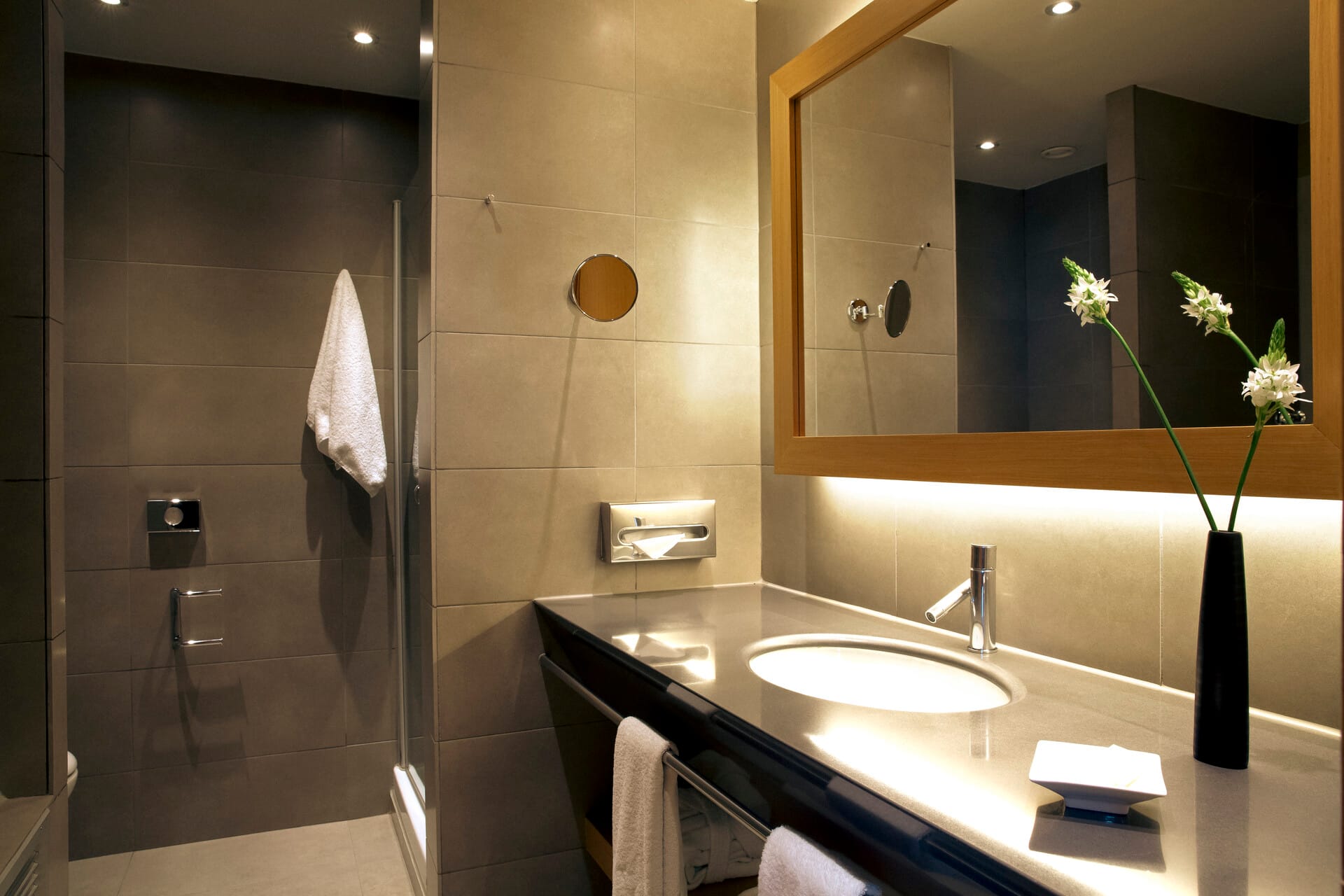 lazart_lazart-suite-5