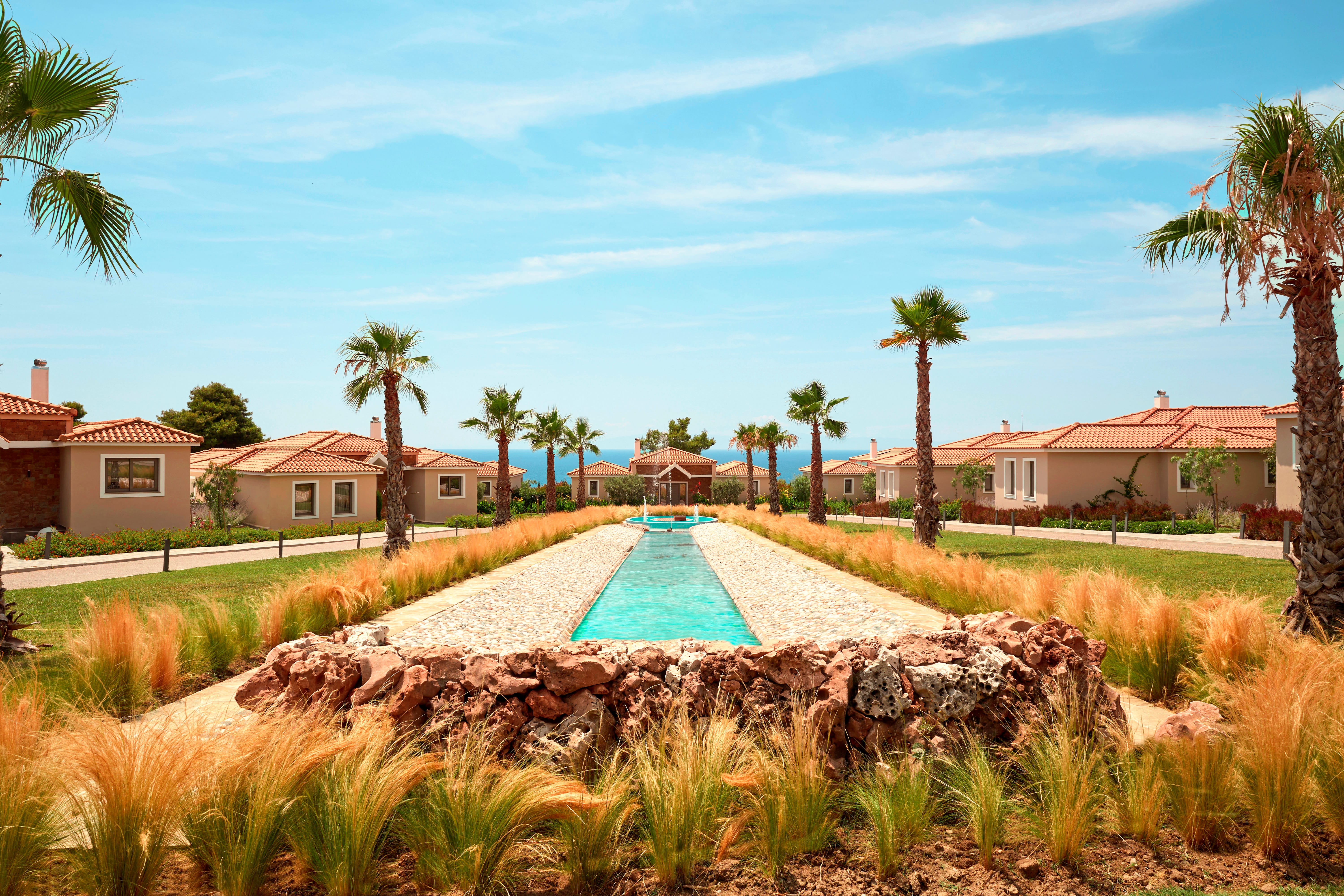a pool surrounded by palm trees
