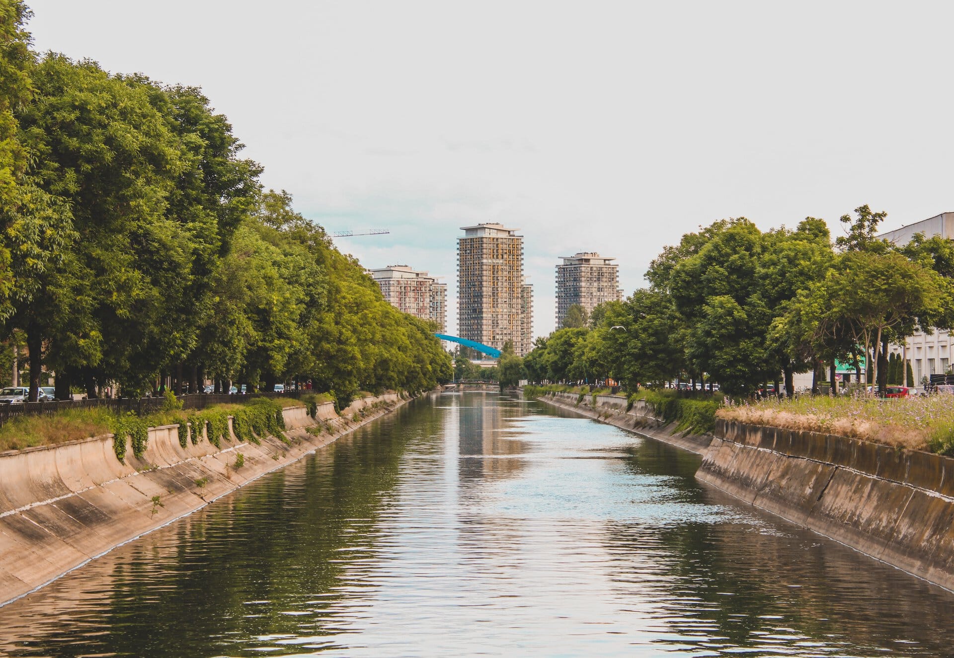 pexels-czapp-arpad-11176807