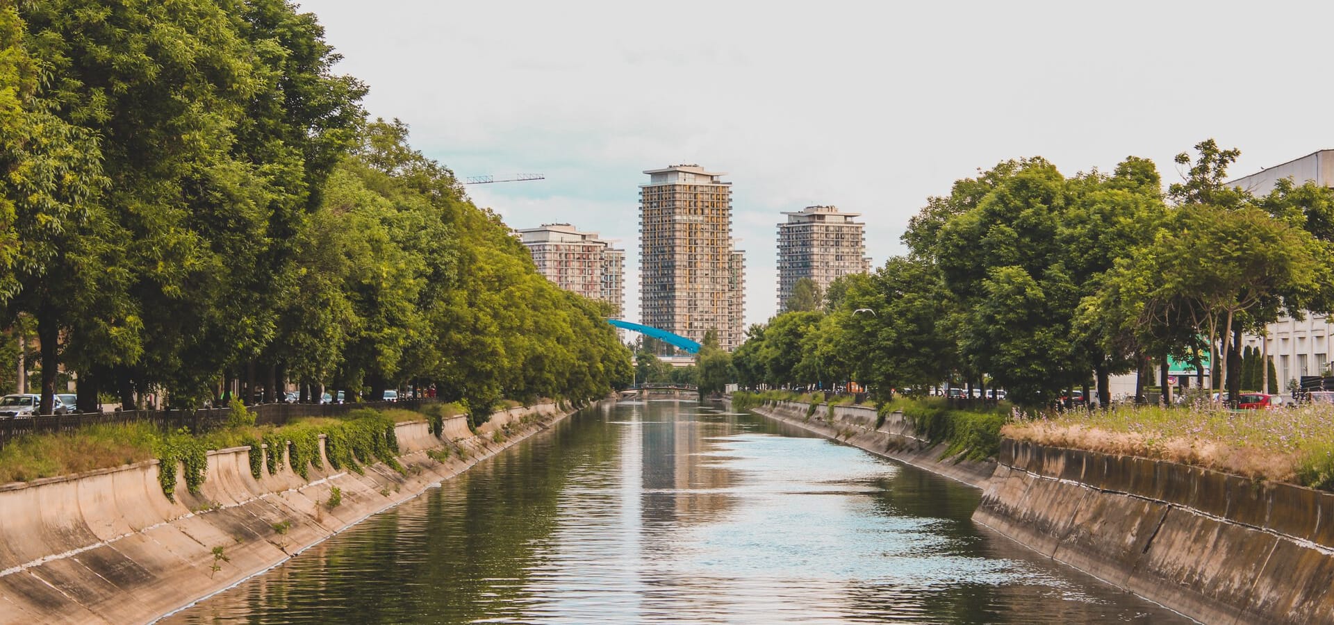 pexels-czapp-arpad-11176807