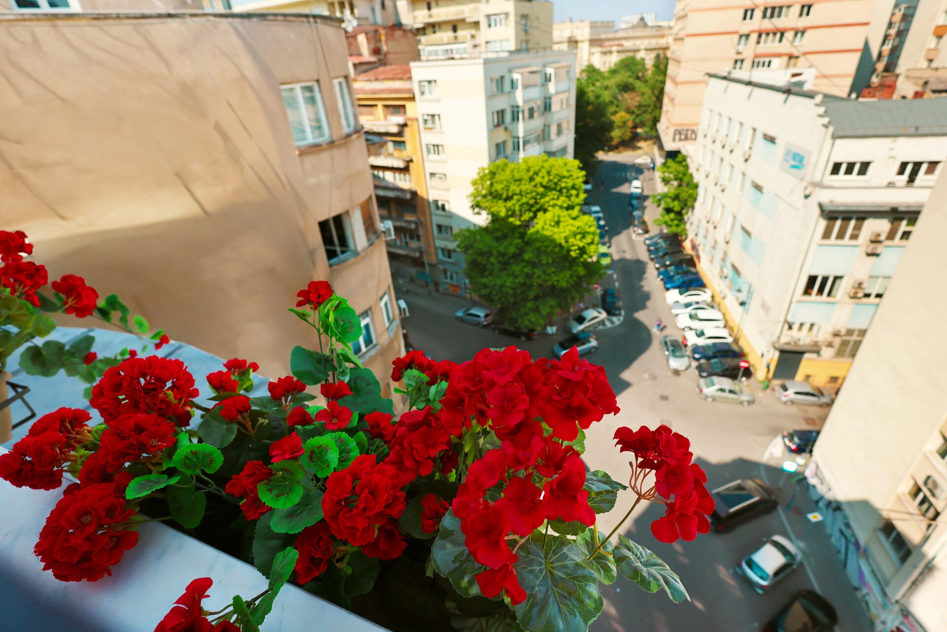 a view of a street with flowers and buildings