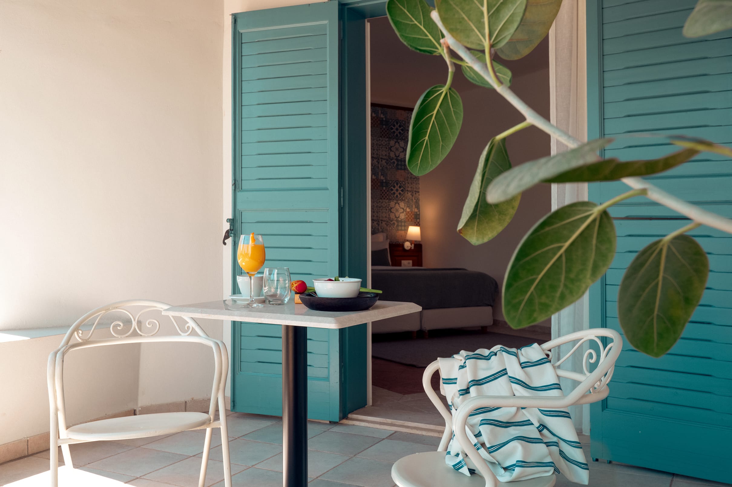 a table with chairs and a plant