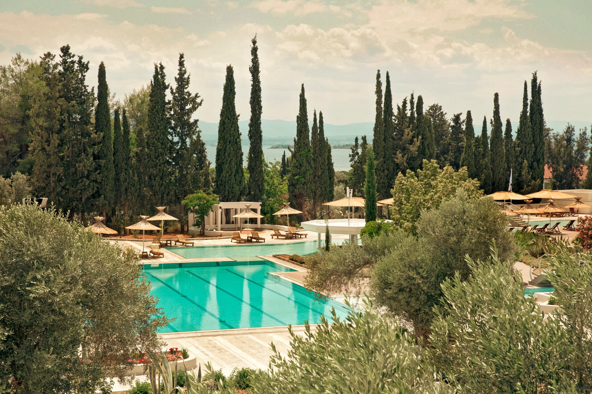 a pool surrounded by trees