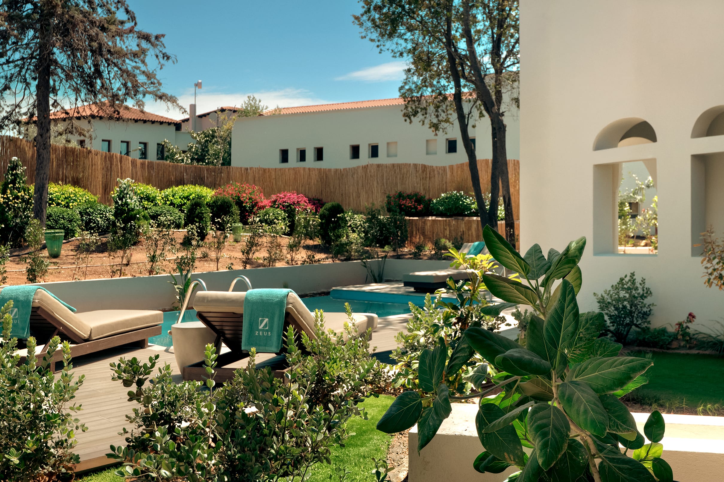 a courtyard with plants and trees