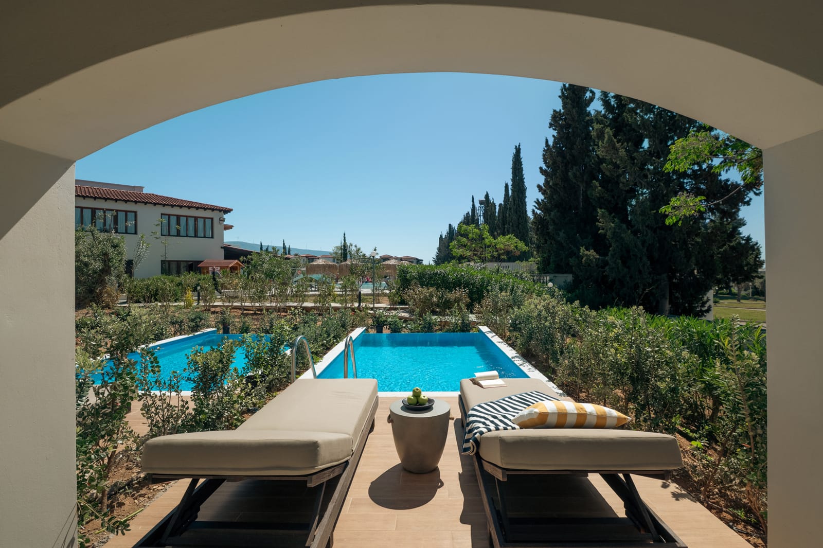 a pool with a lounge chair and a couch in a room with trees