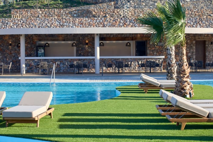 a pool with lounge chairs and a tree in front of it