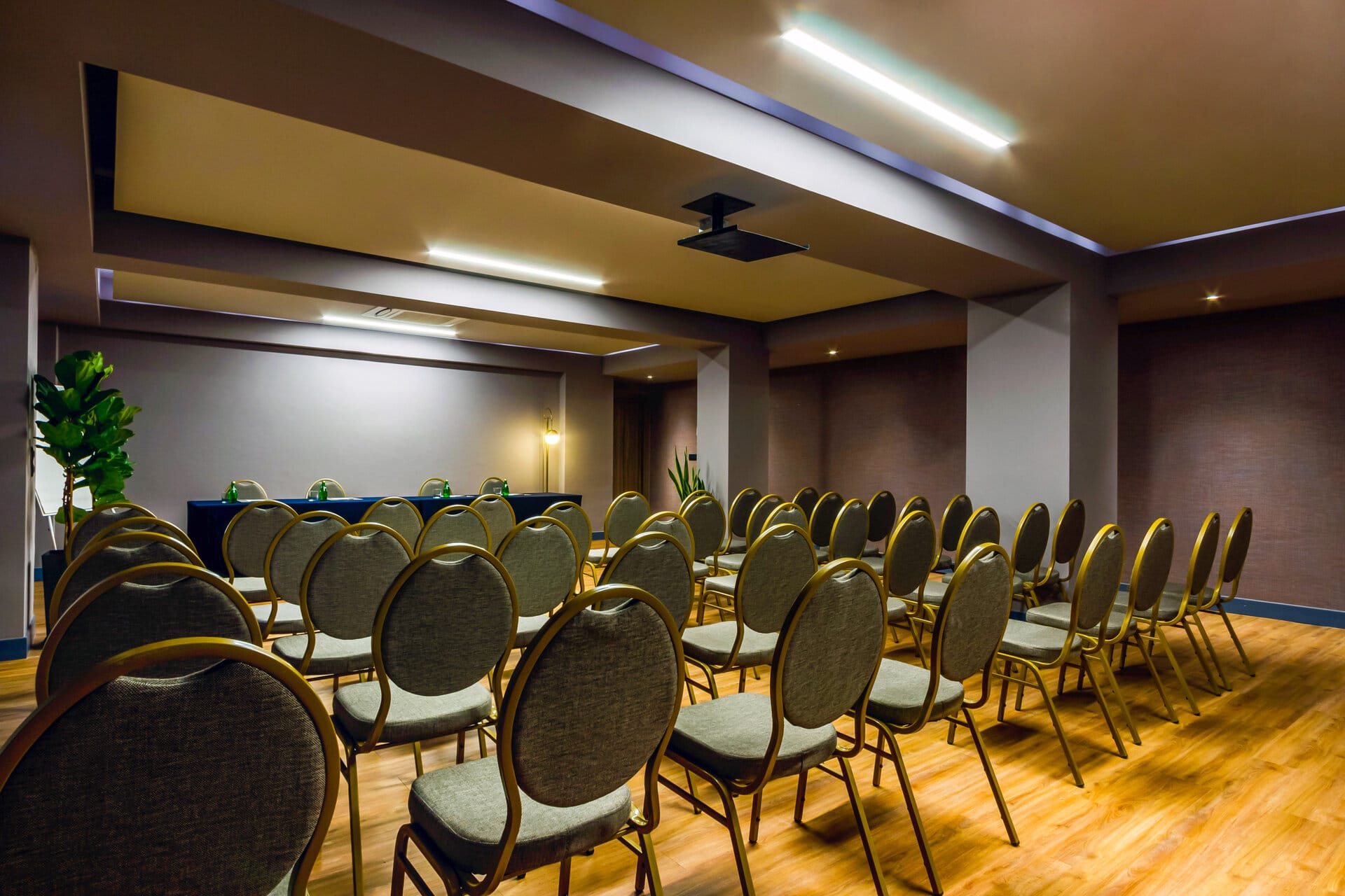 a room with rows of chairs