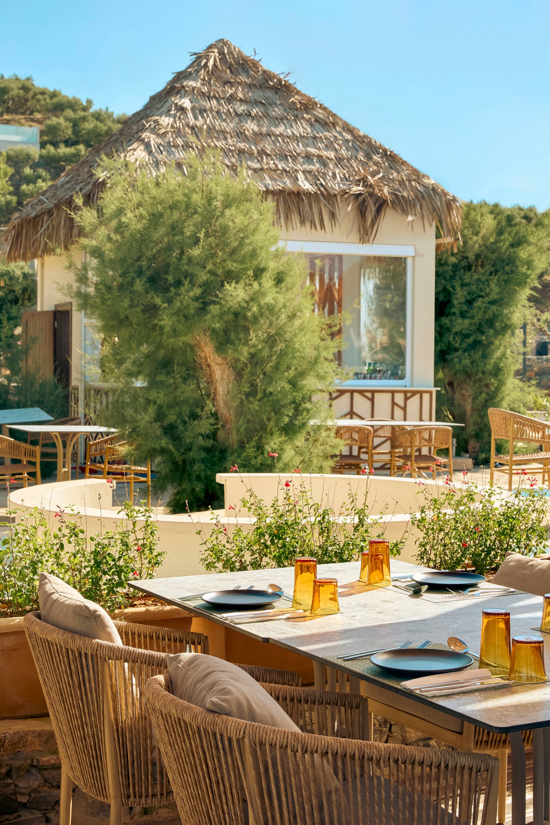 eleva_mirabello_bahia-mar-17