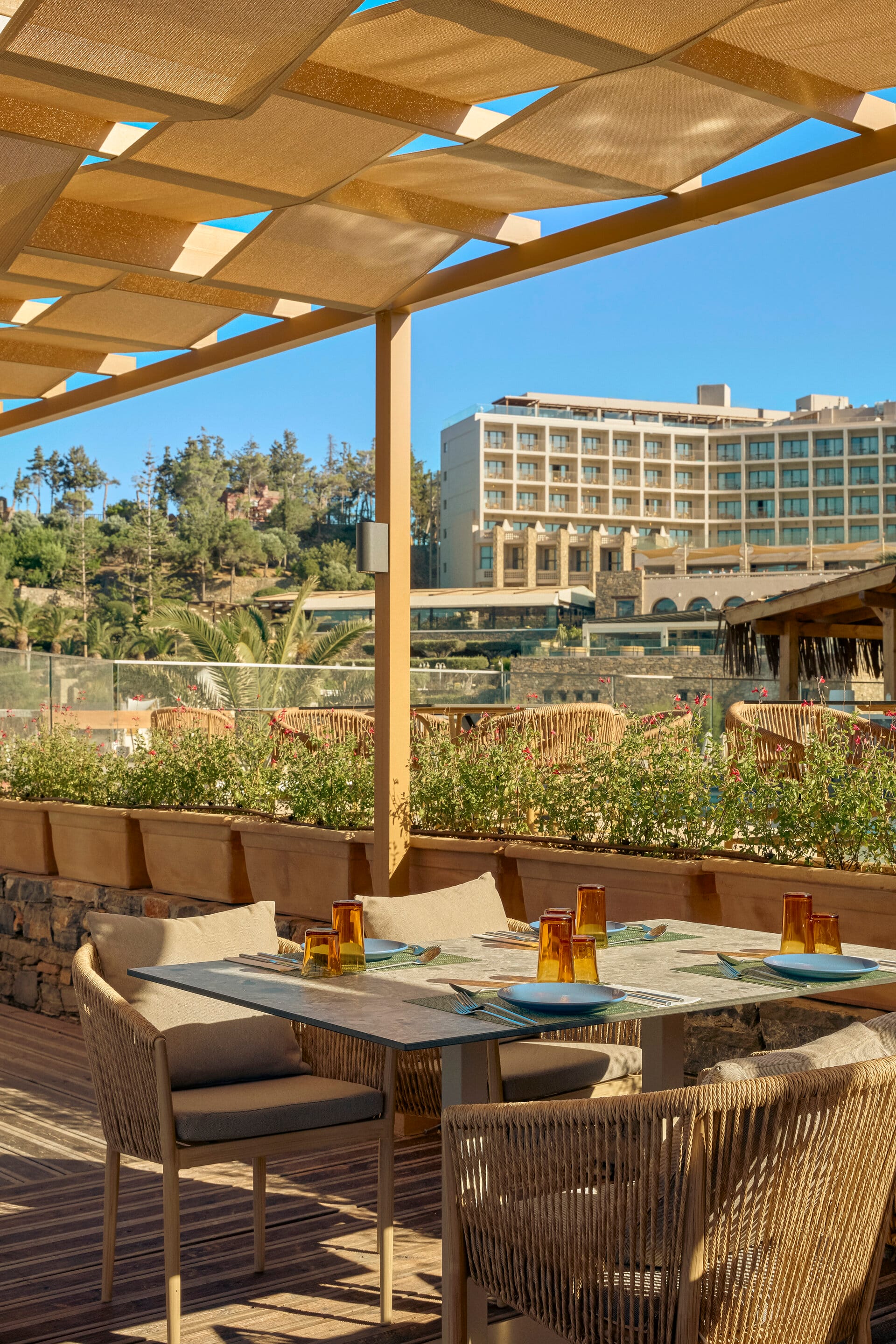 eleva_mirabello_bahia-mar-6