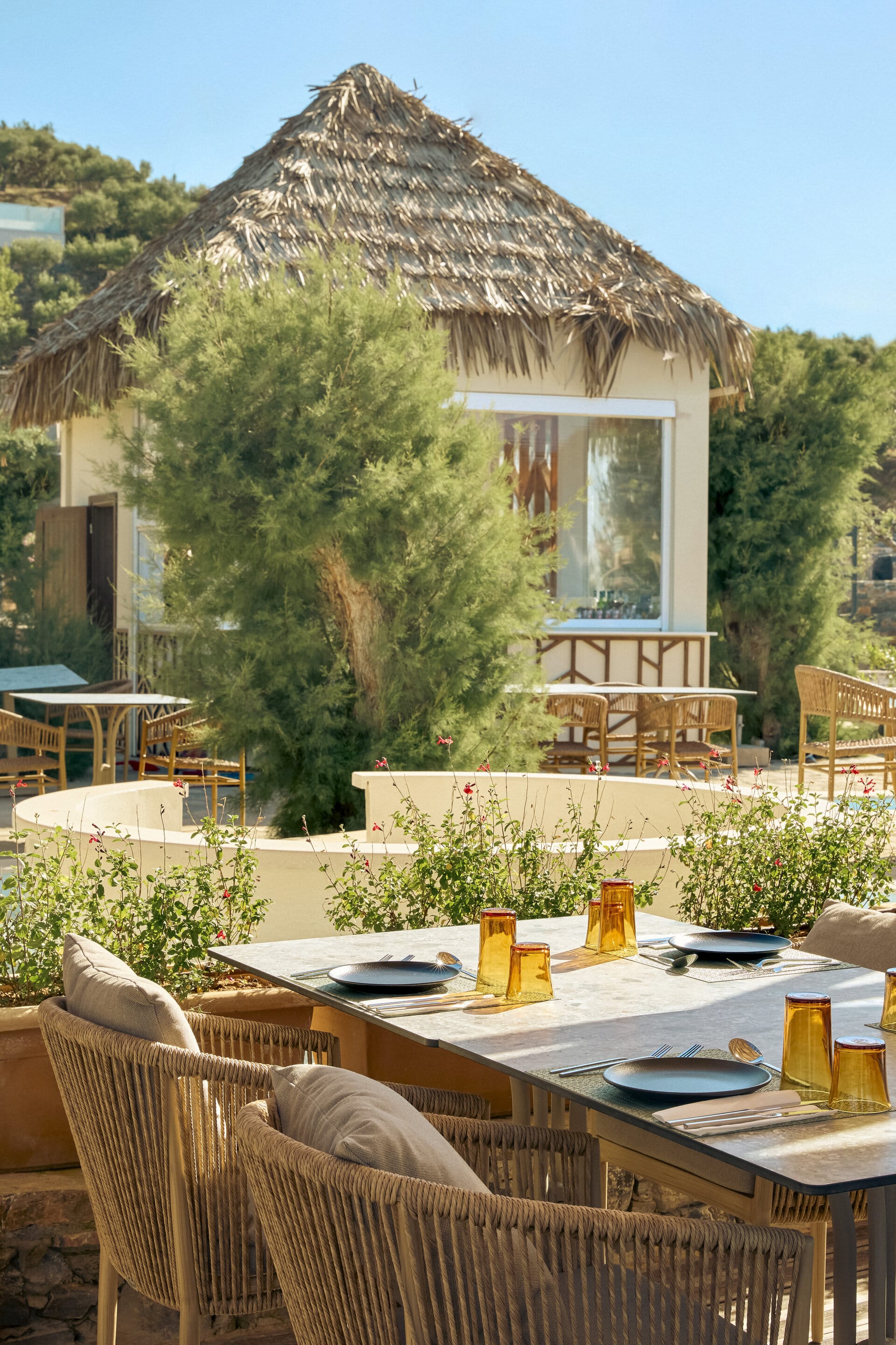 eleva_mirabello_bahia-mar-17