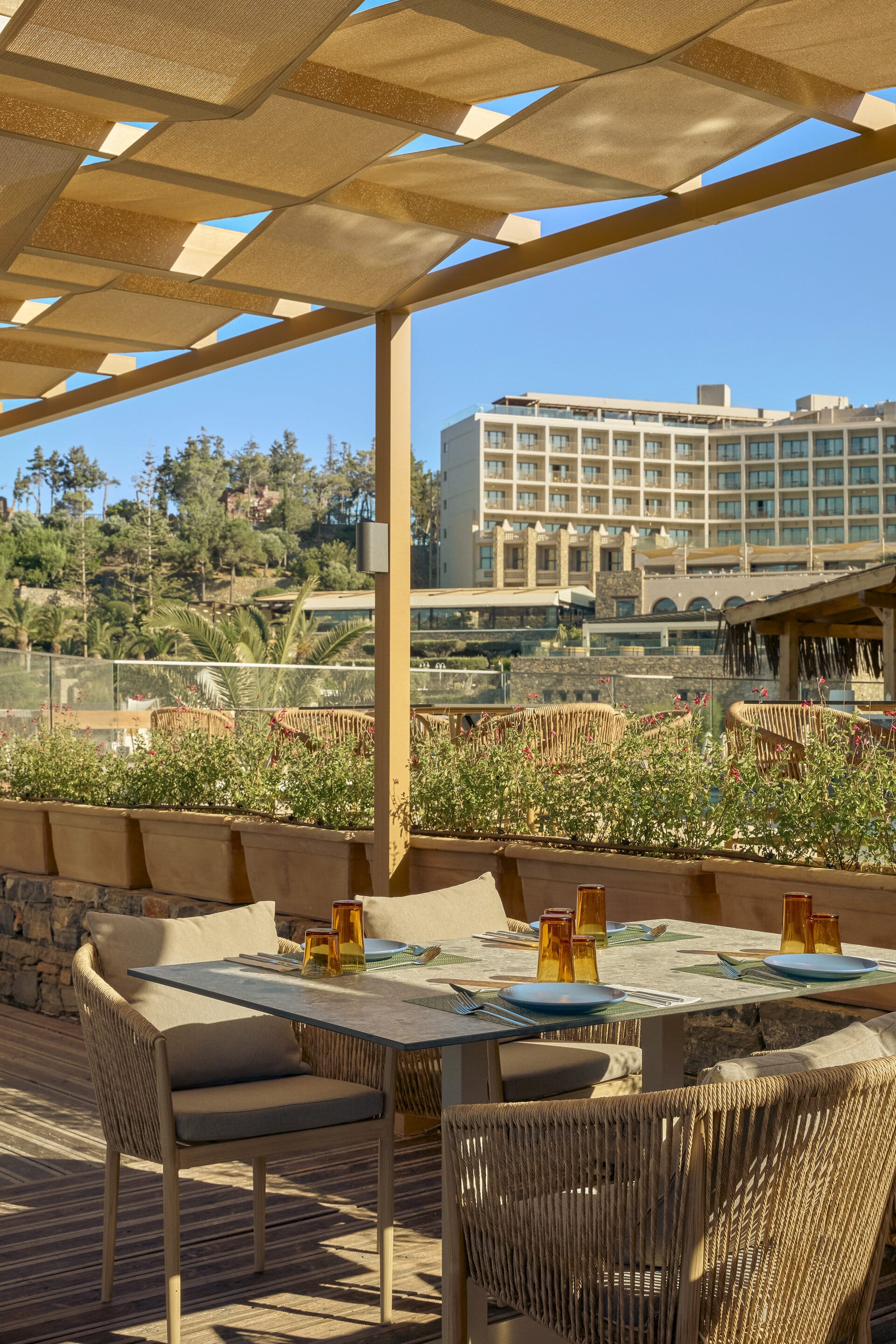 eleva_mirabello_bahia-mar-6