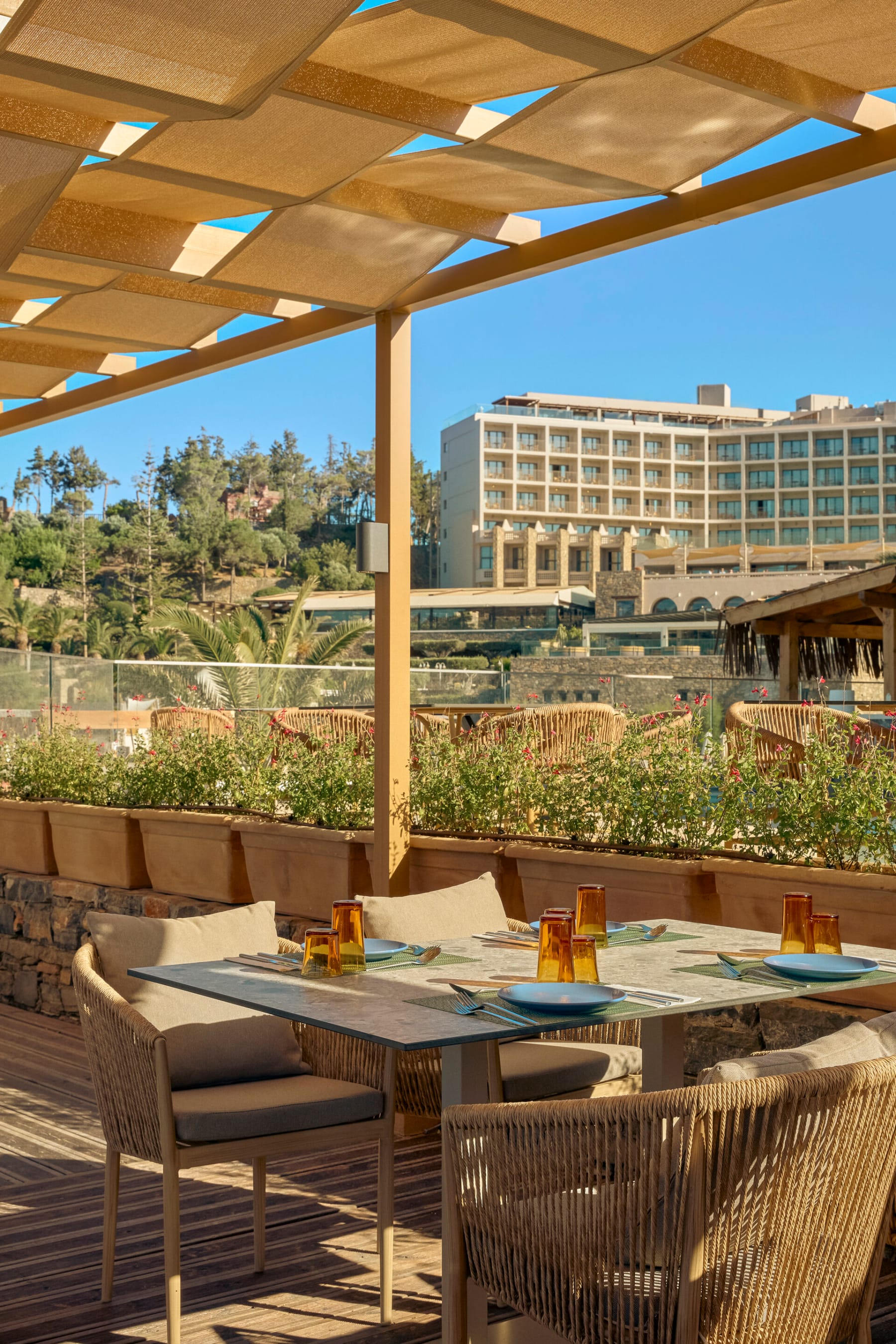 eleva_mirabello_bahia-mar-6